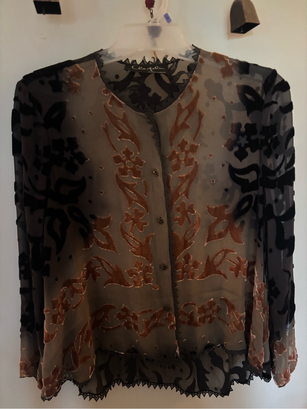 Sheer Embroidered Button-Front Blouse in Black and Brown